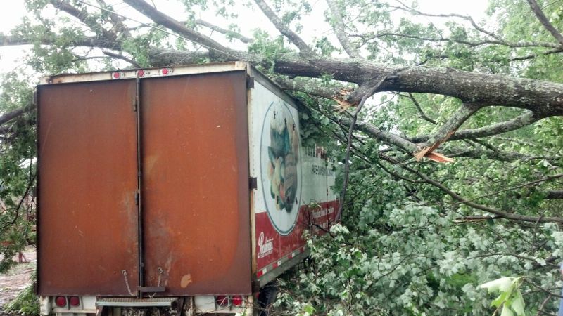 ™2013 BlueRidgeLife : Photo By Buck Martin - This is one of numerous trees that fell Thursday afternoon - June 13, 2013 in East Nelson County after severe thunderstorms moved through the area. This is on Craigtown Road just north of Shipman before the Rockfish River.