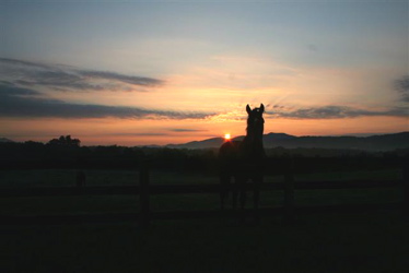 Rodes Farm Sunrise