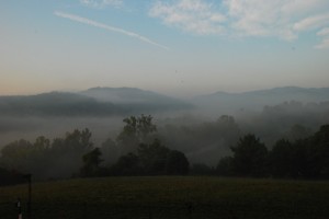 Photography By Ann Strober : Fog In The Valley : Nellysford, Virginia