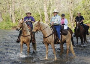 By Diana Garland : Fleetwood Trail Ride in April 2008