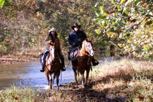 Photography by: Diana Garland : Weekend Fleetwood Trail Ride near Massies Mill, Virginia : October 2008