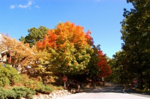 Fall Colors Just Beginning Up In The Mountains. This Is In Front Of The Mountain Inn At Wintergreen Resort.