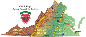 Typical Fall Peak Colors Map Via VA Department Of Forestry - Click To Enlarge
