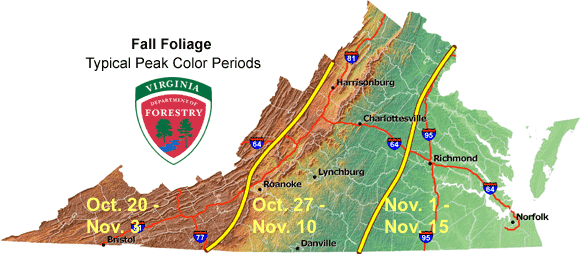 Typical Fall Peak Colors Map Via VA Department Of Forestry