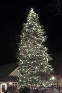 Photo By Paul Purpura ©2008 NCL : Over the weekend some nearly 300 people attended the lighting of the Christmas tree at Wintergreen Resort