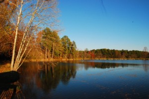 Photo By Ann Strober : Lake Monacan : Nellysford, Virginia