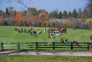 Photography By Diana Garland : The 2008 Oak Ridge Fox Hunt in Arrington, Virginia