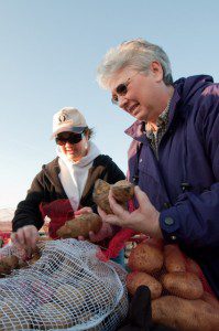 Dawn Clarkson (left) and Becky McMurry help bag the potatoes.