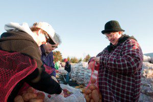 Pastor Debbie Powell helps to bag up the spuds at Saturday's event.