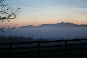 ©2009 NCL Magazine : Photo By Henri Weems : Low lying fog blanketed much of Nelson County Friday morning at daybreak.
