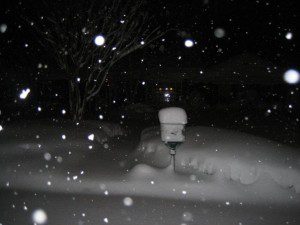 Photo Courtesy of Kathryn Norman ©2009 NCL Magazine : A shot in Western Tennessee (Lauderdale County) where as much as 18-20 inches fell in some areas. 