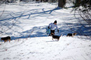 ys-sled5 The 4 or so inches of snow made for perfect sledding. Yvette tried the hill out back this morning! So did the beagles!