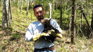 bear-rescue13 Thanks To Sheriff David Brooks For These Photos : ©2009 NCL Magazine : One of four bear cubs is taken to safety after the mother bear was killed along US 29 Thursday in Nelson County, Virginia. Click on any photo for larger view.