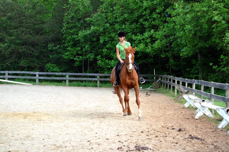 The Rodes Farm Riding Camp @ Rodes Farm Stables Starts June 22, 2009 - Blue Ridge Life ...