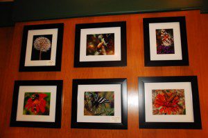Some of Ann Strober's photography on display through the end of the month @ Stoney Creek Bar & Grill
