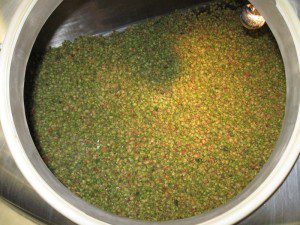 Hops in the kettle at Blue Mountain Brewery.