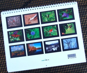 Some of the many photos in Ann's 2010 calendar which helps The Rockfish Wildlife Sanctuary. 