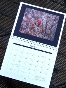 The January section of the 2010 calendar.