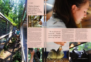 Our spread on The Rockfish Wildlife Sanctuary from the September 2009 issue. Click on photo to read the entire story..