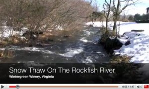©2009 www.nelsoncounty.tv : By Tommy Stafford : A screen grab of video from the Rockfish River at Wintergreen Winery.