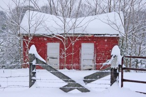 By Woody Greenberg : Shed in the snow at Colleen.