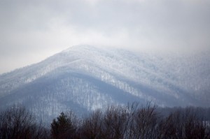 A closer look at the snow covered trees up in the mountains near The Blue Ridge Parkway on Tuesday. 