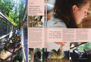 More from our 2009 story The Rockfish Wildlife Sanctuary. Click image above to read more.