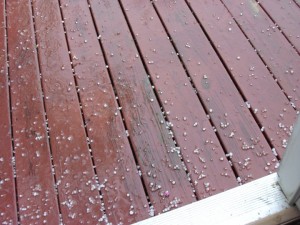 Photo By Kimmie Smith : ©2010 www.nelsoncountylife.com : Kimmie Smith of Shipman shot this picture of pea sized hail falling late Sunday afternoon as thunderstorms moved through that part of Nelson County. Click to enlarge. 