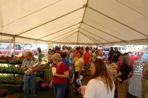 This picture pretty much tells the story. Tons of people packed the opening day of the market in Nellysford. 