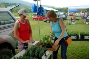 Kathryn Berton (left) of Appalachia Star Farm in Roseland helps a customer pick out the perfect plants. 