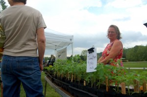Photos By Tommy Stafford : ©2010 www.nelsoncountylife.com : Amy Childs of Afton chats it up with folks dropping by the Pre-Mother's Day Plant Sale this past Sunday at Rockfish Ruritian Park. 