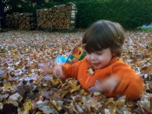 AS-LEAVES