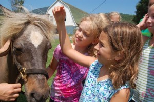 Anika Volentine (left) and Caroline Shea, learn about the star on this pony's head as part of orientation to the horses at this year's camp. 