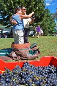 Photo By Tommy Stafford : ©2010 www.nelsoncountylife.com : This couple did the, LUCY, grape stomping Saturday afternoon at Wintergreen Winery's annaul Romp, Stomp and Chomp. The popular event continues on Sunday. Click and photos to enlarge. 