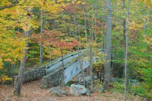 A bridge near Crabtree Falls in Southern Nelson County, Virginia. 