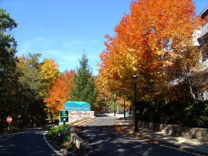 Photo Courtesy of Wintergreen Resort : Beautiful fall colors are appearing in the mountains of Nelson County. This shot was taken just outside the Mountain Inn at Wintergreen Resort. Click to enlarge. 