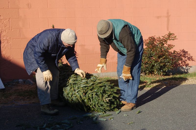 Rockfish Valley Community Center : Christmas Tree Sale Begins