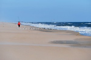 Virginia Beach - 006
