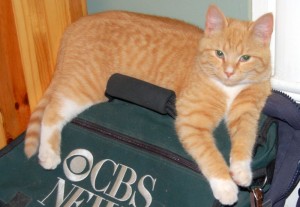 ANGELO-CBS BAG - CROPPED