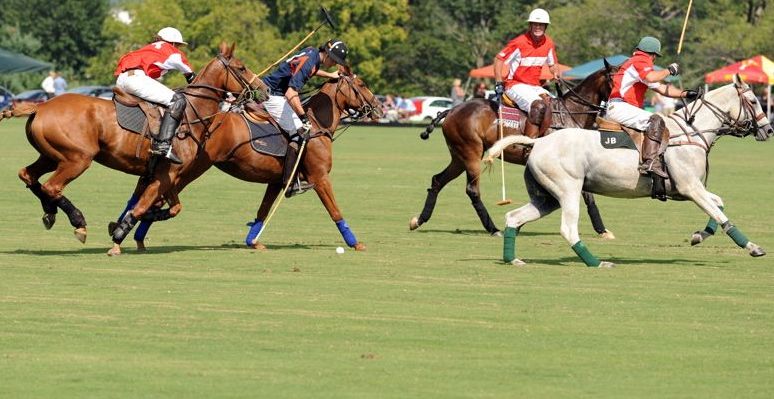 Polo Match During The Final Days Of Summer
