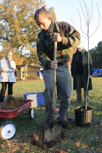 shovel-1