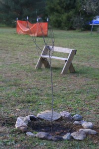 tree finished solo