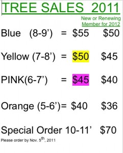 RVCC Christmas Tree Price