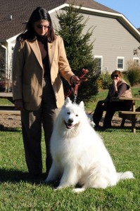 WPA Dog Show - 0044