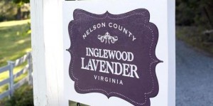 Inglewood Lavender Farm, Nelson Co., VA. Photo by Hayley Osborne.