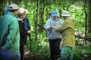 Hike Wintergreen - 0027