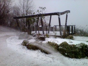 Sandy-Snow DR WTG2