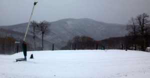 Sandy-Snow PP WTG1