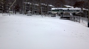 Sandy-Snow PP WTG2
