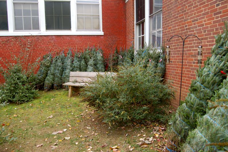 Nelson Grinch Visits Rockfish Valley Community Center Christmas